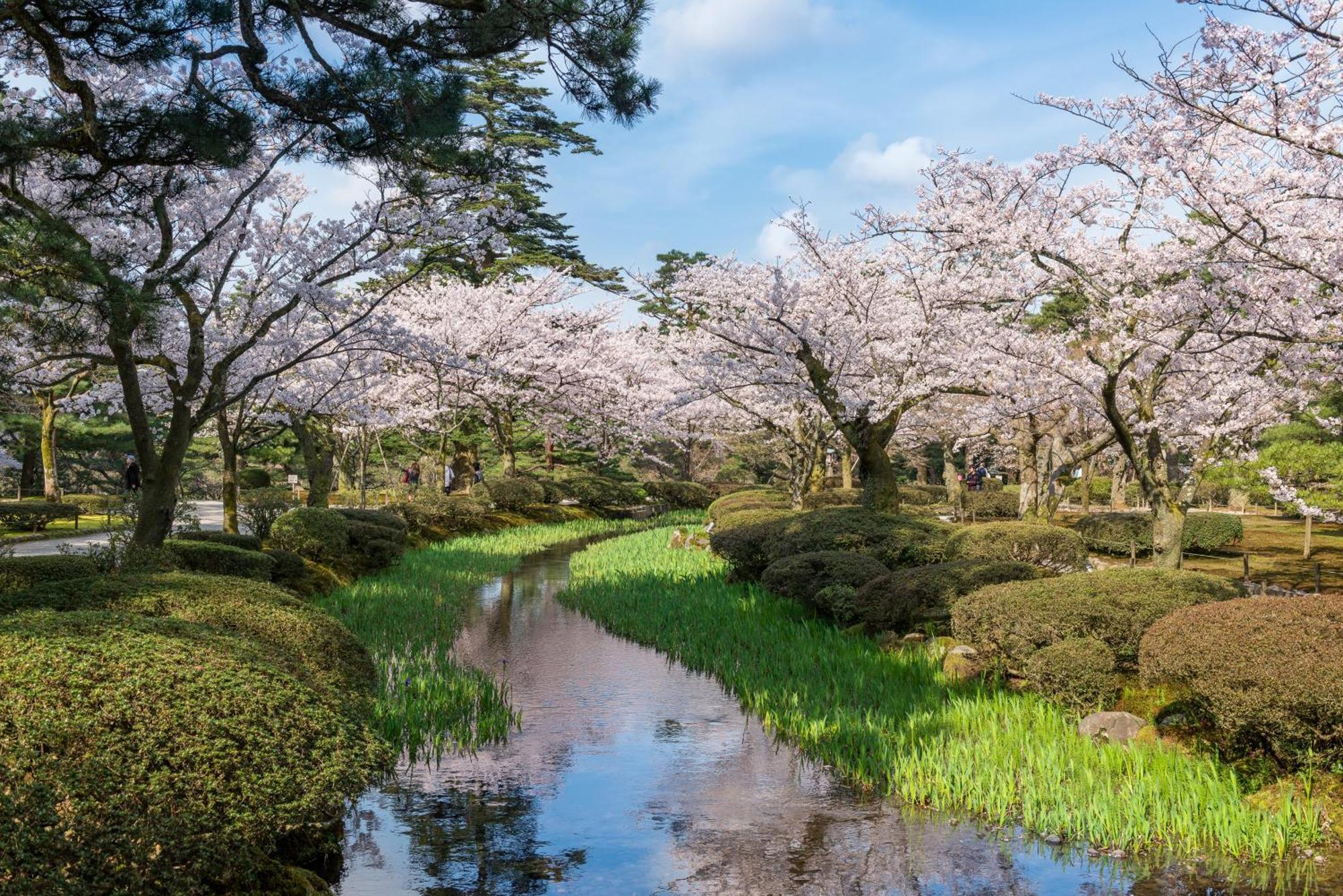 Tokyu Stay Kanazawa Eksteriør billede