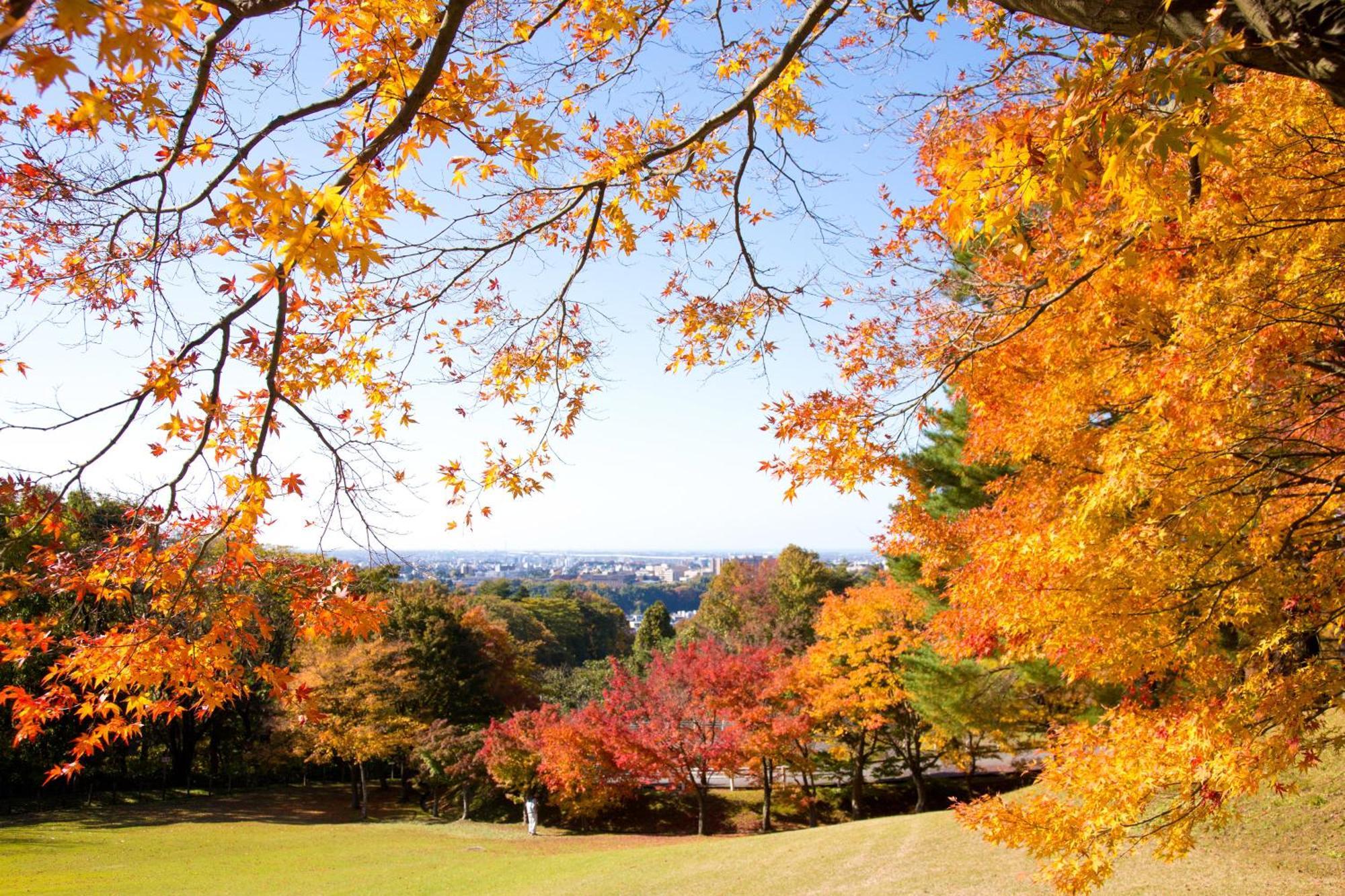 Tokyu Stay Kanazawa Eksteriør billede